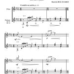 El Llano en Llamas (flûte et guitare)