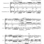 El Pericon (trio de clarinettes)