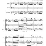 El Pericon (trio de flûtes)