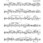 Faenara (guitare)