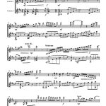 Fantaisie (duo de guitares)