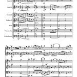 Fantasy (deux guitares et orchestre à cordes)