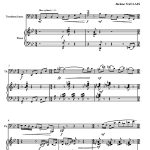 Fever (trombone basse et piano)