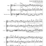 Fon-Fon (trio de flûtes)