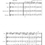 Humoresque opus 6-n°1 (quatuor de flûtes)