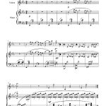 La femme au chapeau (violon et piano)