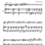 la fête au village (flûte et piano)