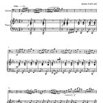 La fête au village (saxhorn baryton et piano)