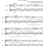 Lascia ch'io pianga (duo de guitares)