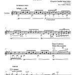 Le cygne (guitare)