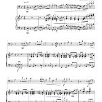 Le cha-cha du chat Sacha (trombone et piano)