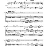Les nouveaux voisins (tuba ou saxhorn basse sib et piano)
