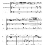 Maldito amor (trio de saxophones)