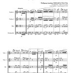 Marche turque (quatuor à cordes)