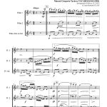 Margarita - Unico amor (trio de flûtes)