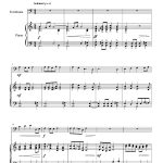 Matsuri (trombone et piano)