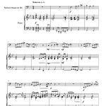 Mékong (saxhorn basse et piano)