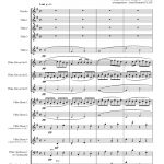 Pavane pour une infante défunte (orchestre de flûtes)