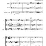 Rêverie arabe (trio de flûtes)