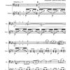 Sérénade espagnole opus 20 n°2 (violoncelle et guitare)