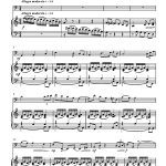 Shérazade et le sultan (contrebasse et piano)
