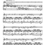 Shérazade et le sultan (hautbois et piano)