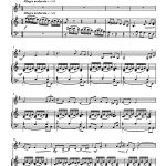 Shérazade et le sultan (cor en fa et piano)