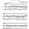 Sonate en mib majeur BWV 1031 (trio de flûtes)