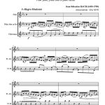 Sonate en mib majeur BWV 1031 (trio de flûtes)