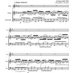 Sonate en mib majeur BWV 1031 (flûte, violon et violoncelle)