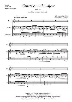 Sonate en mib majeur BWV 1031 (flûte, violon et violoncelle)