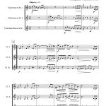 The entertainer (trio de clarinettes)