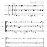 Two songs (trio de guitares)