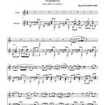 Una mirada al pasar (flûte et guitare)