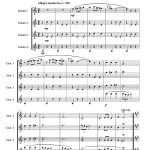 Valse opus 12 n°2 (quatuor de guitares)