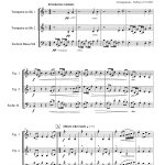 Zamacueca (trio de cuivres)