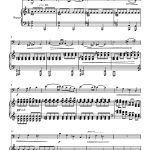Le matin des magiciens (violoncelle et piano)