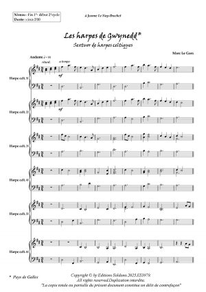 Les harpes de Gwynedd (sextuor de harpes celtiques)