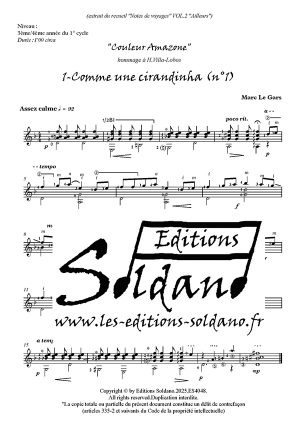 Couleur Amazone (guitare)