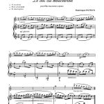 Le_vol_du_Moucheron_ES4130_ext